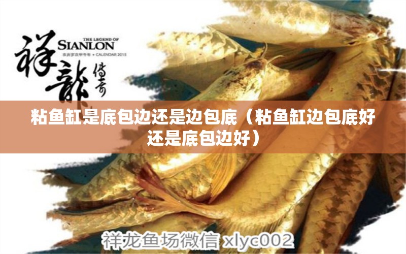 粘魚缸是底包邊還是邊包底（粘魚缸邊包底好還是底包邊好）