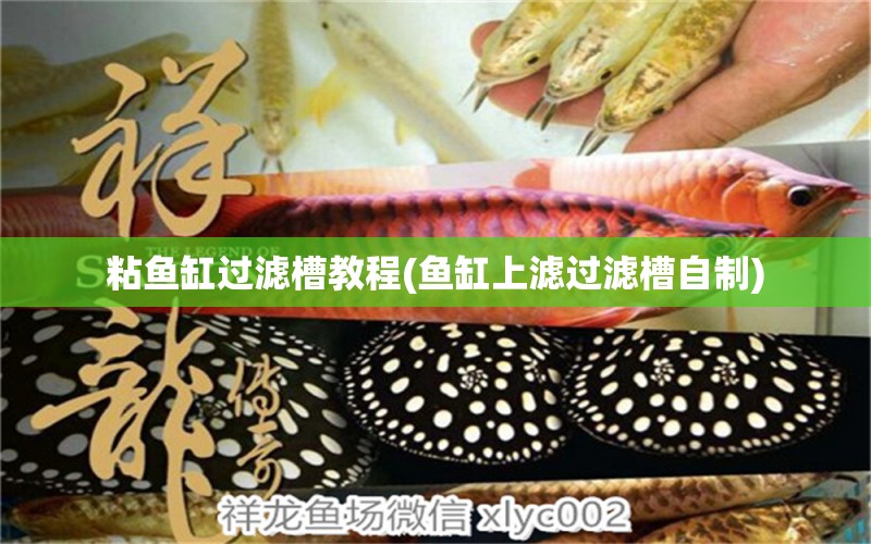 粘魚(yú)缸過(guò)濾槽教程(魚(yú)缸上濾過(guò)濾槽自制) 黑白雙星