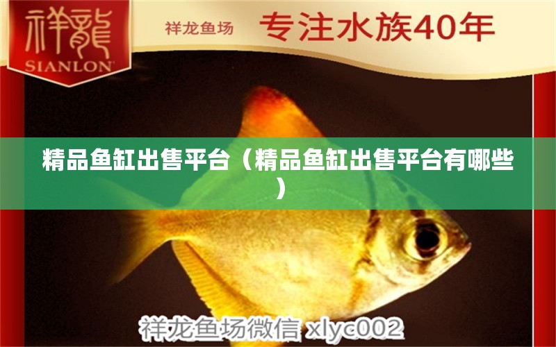 精品魚缸出售平臺（精品魚缸出售平臺有哪些）