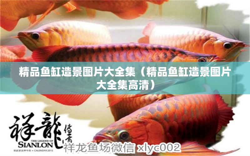 精品魚缸造景圖片大全集（精品魚缸造景圖片大全集高清） 祥龍魚場