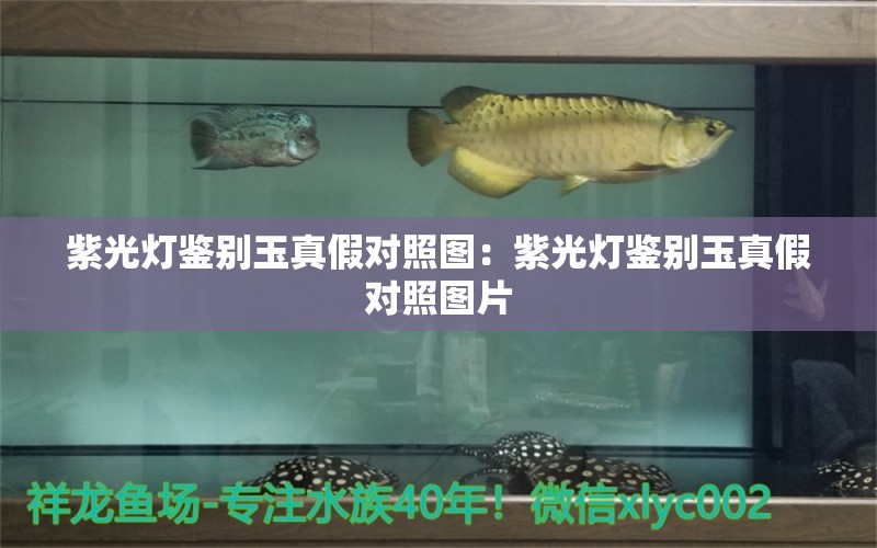 紫光燈鑒別玉真假對(duì)照?qǐng)D：紫光燈鑒別玉真假對(duì)照?qǐng)D片