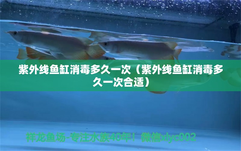 紫外線魚缸消毒多久一次（紫外線魚缸消毒多久一次合適） 照明器材