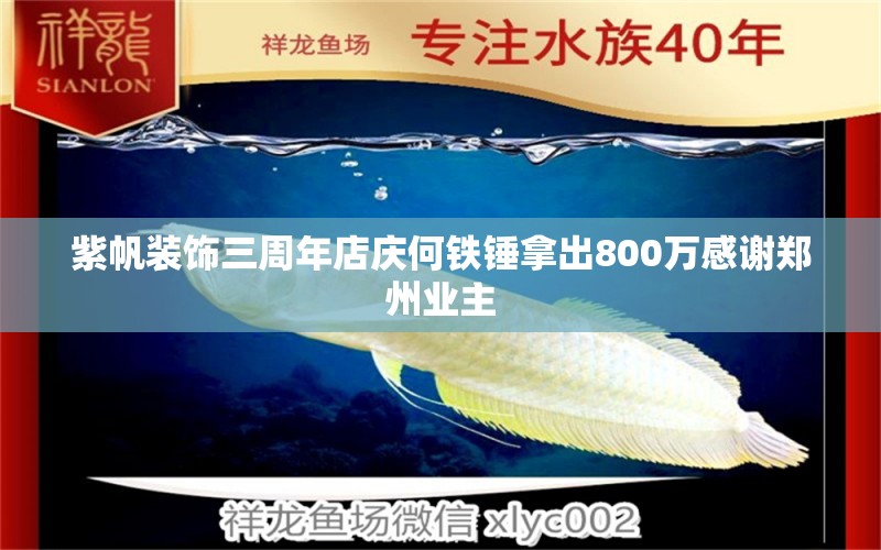 紫帆裝飾三周年店慶何鐵錘拿出800萬感謝鄭州業(yè)主 全國水族館企業(yè)名錄