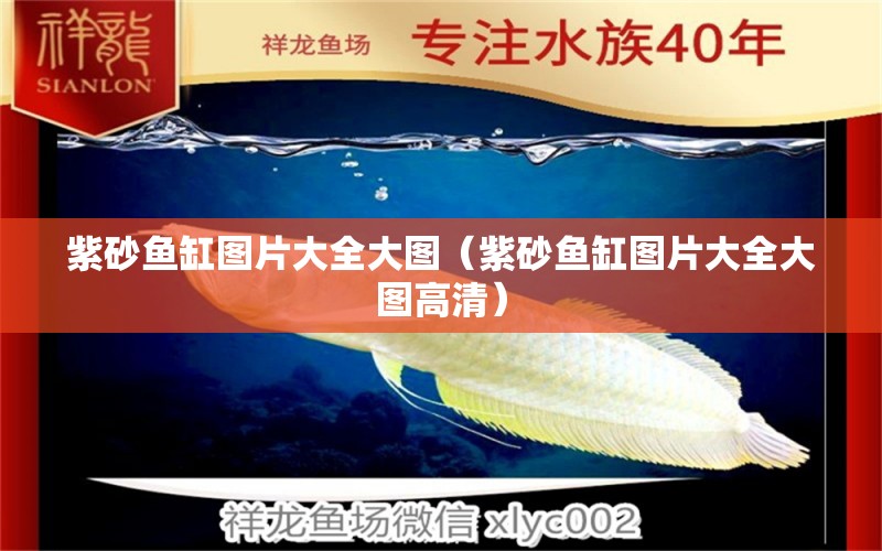 紫砂魚缸圖片大全大圖（紫砂魚缸圖片大全大圖高清） 白子黑帝王魟魚