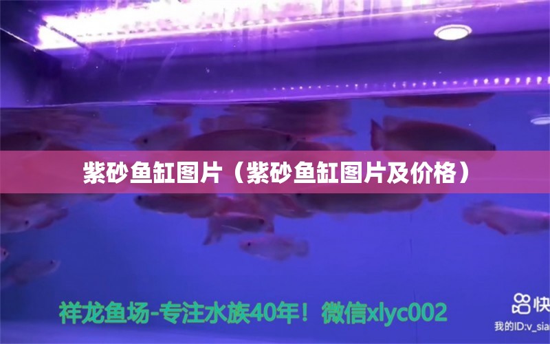 紫砂魚(yú)缸圖片（紫砂魚(yú)缸圖片及價(jià)格） 觀賞魚(yú)市場(chǎng)（混養(yǎng)魚(yú)）