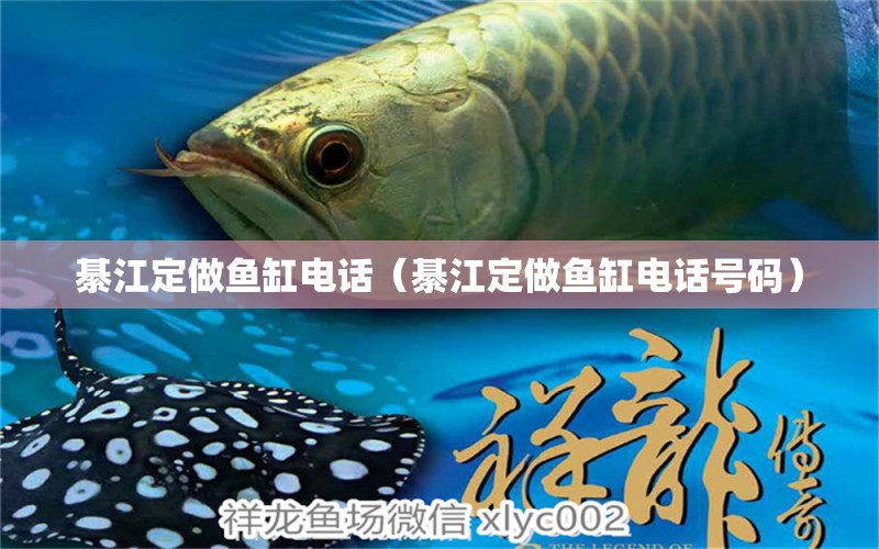 綦江定做魚(yú)缸電話（綦江定做魚(yú)缸電話號(hào)碼） 白子球鯊魚(yú)