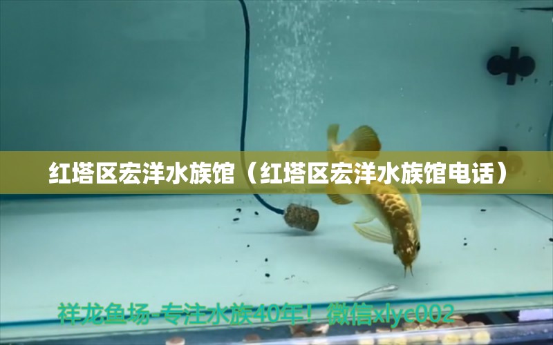 紅塔區(qū)宏洋水族館（紅塔區(qū)宏洋水族館電話） 全國水族館企業(yè)名錄