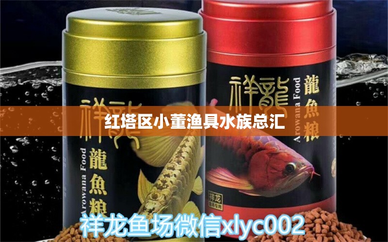 紅塔區(qū)小董漁具水族總匯