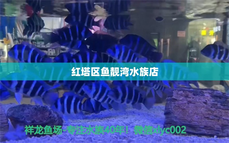 紅塔區(qū)魚靚灣水族店