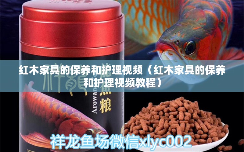 紅木家具的保養(yǎng)和護(hù)理視頻（紅木家具的保養(yǎng)和護(hù)理視頻教程）