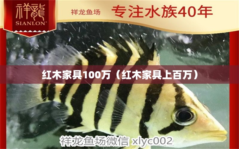 紅木家具100萬（紅木家具上百萬）