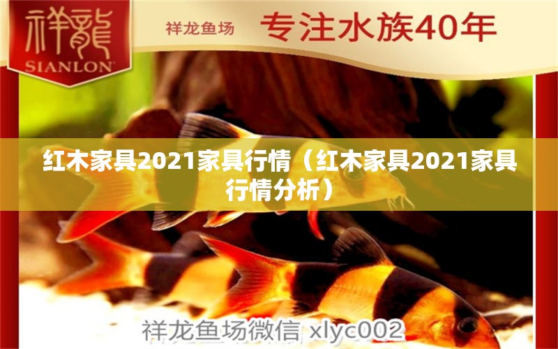 紅木家具2021家具行情（紅木家具2021家具行情分析）