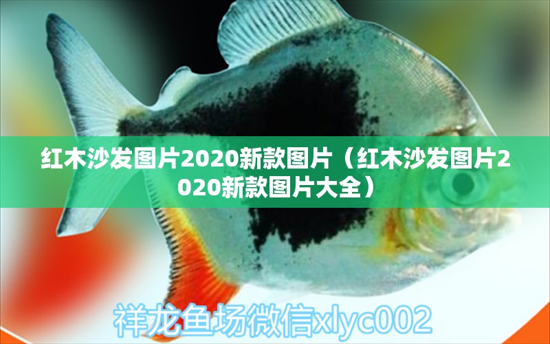 紅木沙發(fā)圖片2020新款圖片（紅木沙發(fā)圖片2020新款圖片大全）