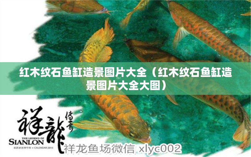 紅木紋石魚缸造景圖片大全（紅木紋石魚缸造景圖片大全大圖）