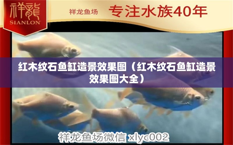 紅木紋石魚缸造景效果圖（紅木紋石魚缸造景效果圖大全）