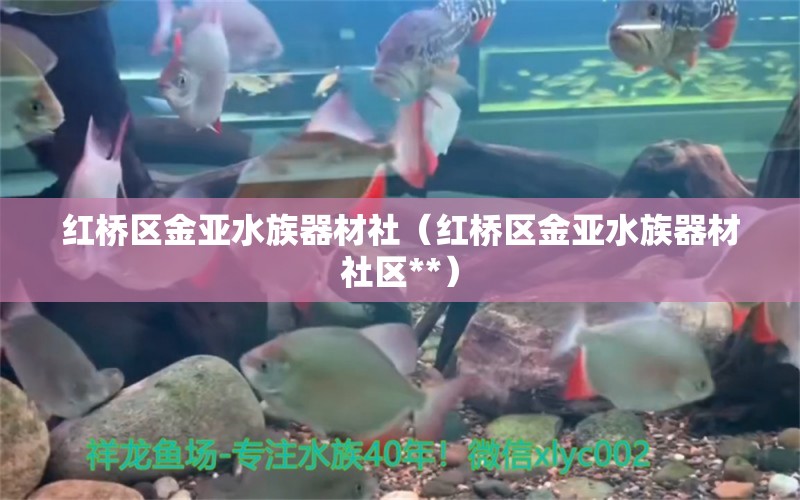 紅橋區(qū)金亞水族器材社（紅橋區(qū)金亞水族器材社區(qū)**） 全國水族館企業(yè)名錄