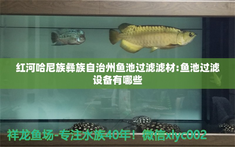 紅河哈尼族彝族自治州魚池過(guò)濾濾材:魚池過(guò)濾設(shè)備有哪些 過(guò)濾設(shè)備