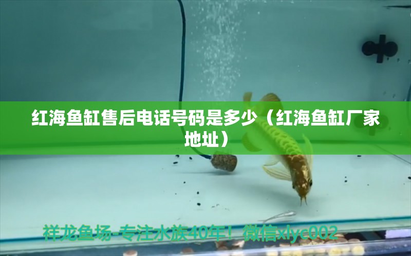 紅海魚(yú)缸售后電話號(hào)碼是多少（紅海魚(yú)缸廠家地址）