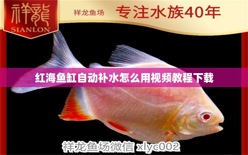 紅海魚缸自動(dòng)補(bǔ)水怎么用視頻教程下載