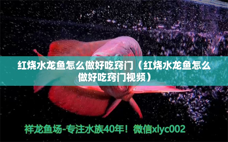 紅燒水龍魚怎么做好吃竅門（紅燒水龍魚怎么做好吃竅門視頻）