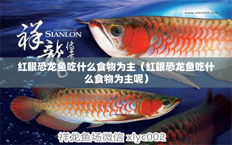 紅眼恐龍魚吃什么食物為主（紅眼恐龍魚吃什么食物為主呢） 觀賞魚市場（混養(yǎng)魚）