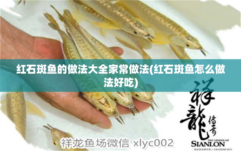 紅石斑魚的做法大全家常做法(紅石斑魚怎么做法好吃) 祥龍魚場品牌產(chǎn)品