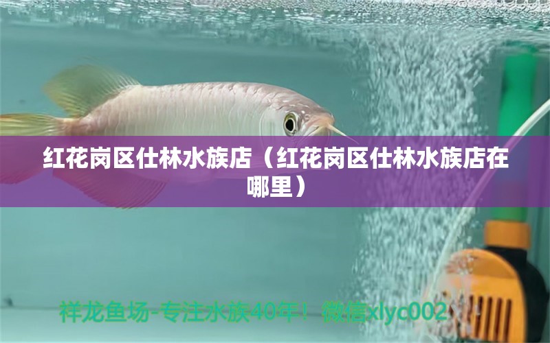 紅花崗區(qū)仕林水族店（紅花崗區(qū)仕林水族店在哪里） 全國水族館企業(yè)名錄