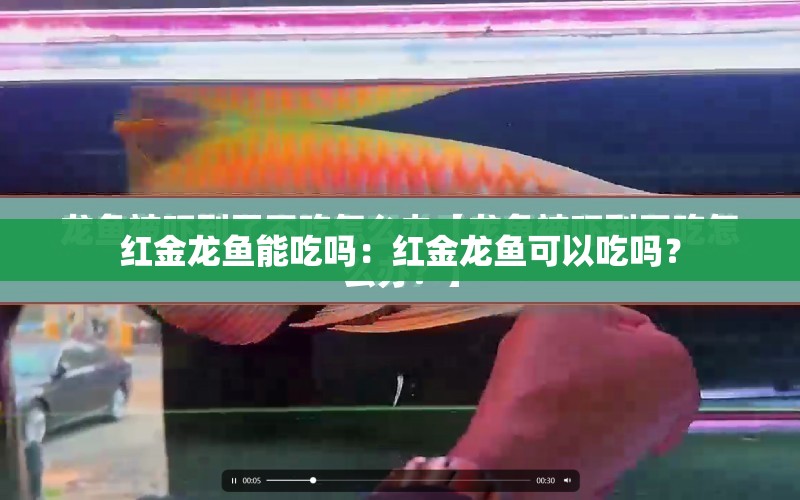 紅金龍魚能吃嗎：紅金龍魚可以吃嗎？ 水族問答 第1張