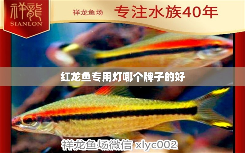 紅龍魚專用燈哪個牌子的好