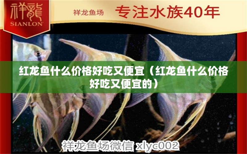 紅龍魚什么價(jià)格好吃又便宜（紅龍魚什么價(jià)格好吃又便宜的）