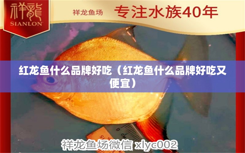 紅龍魚什么品牌好吃（紅龍魚什么品牌好吃又便宜）