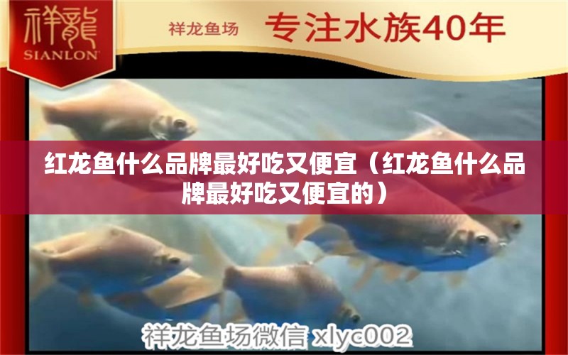 紅龍魚什么品牌最好吃又便宜（紅龍魚什么品牌最好吃又便宜的）