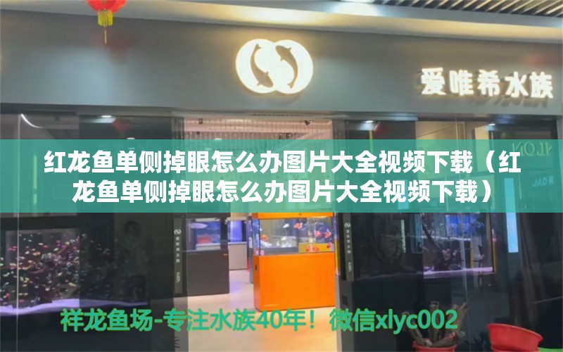 紅龍魚單側(cè)掉眼怎么辦圖片大全視頻下載（紅龍魚單側(cè)掉眼怎么辦圖片大全視頻下載）