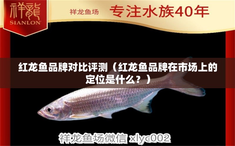 紅龍魚品牌對比評測（紅龍魚品牌在市場上的定位是什么？） 水族問答 第1張