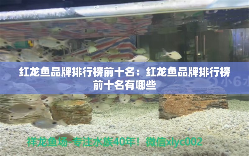 紅龍魚品牌排行榜前十名：紅龍魚品牌排行榜前十名有哪些