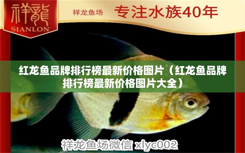 紅龍魚品牌排行榜最新價格圖片（紅龍魚品牌排行榜最新價格圖片大全）