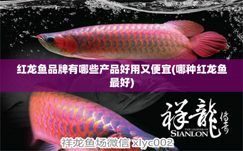 紅龍魚品牌有哪些產(chǎn)品好用又便宜(哪種紅龍魚最好) 銀龍魚