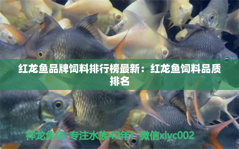 紅龍魚品牌飼料排行榜最新：紅龍魚飼料品質(zhì)排名