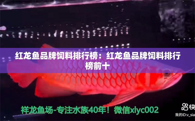 紅龍魚品牌飼料排行榜：紅龍魚品牌飼料排行榜前十