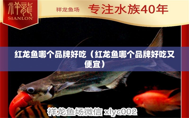 紅龍魚(yú)哪個(gè)品牌好吃（紅龍魚(yú)哪個(gè)品牌好吃又便宜）