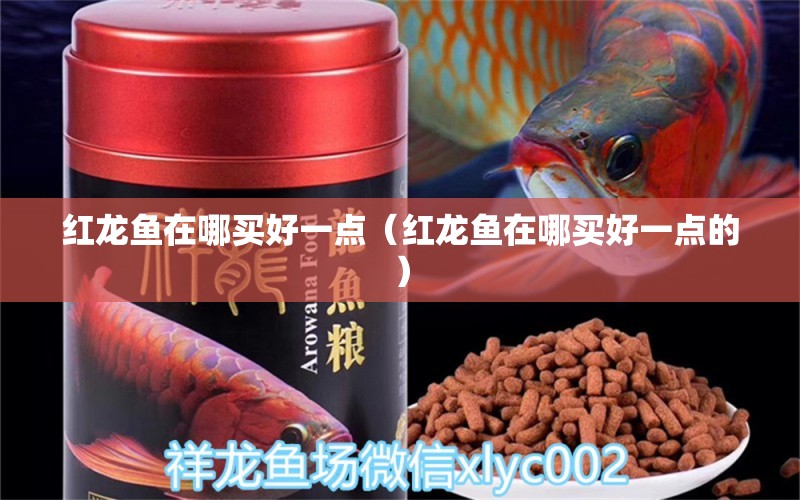 紅龍魚在哪買好一點(diǎn)（紅龍魚在哪買好一點(diǎn)的） 網(wǎng)上購買觀賞魚