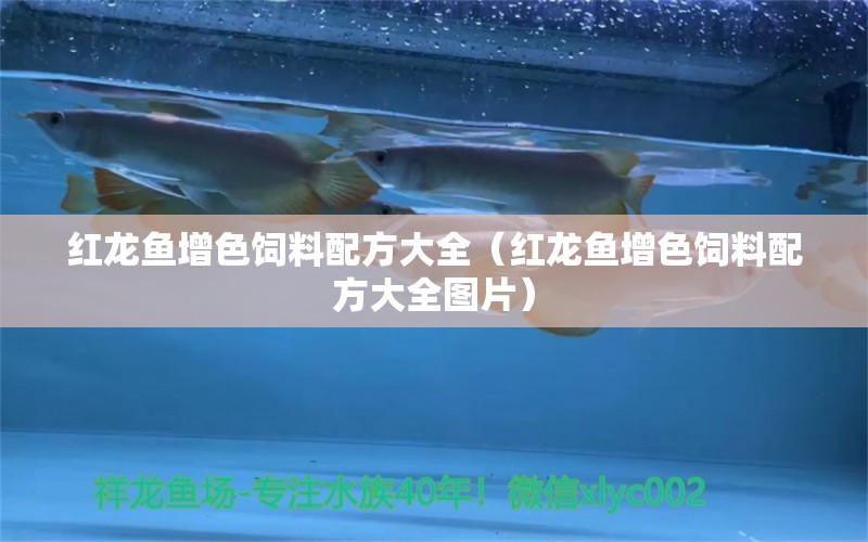 紅龍魚增色飼料配方大全（紅龍魚增色飼料配方大全圖片） 觀賞魚市場(chǎng)（混養(yǎng)魚）