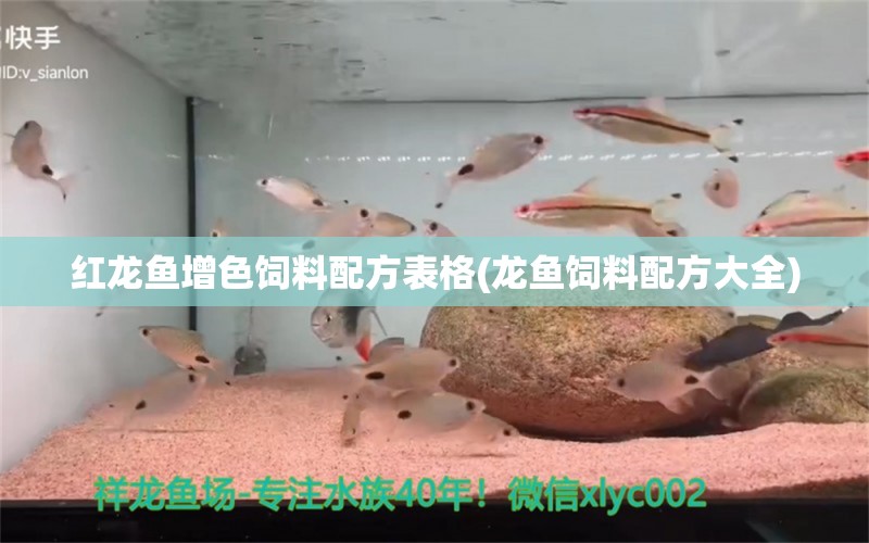 紅龍魚增色飼料配方表格(龍魚飼料配方大全) 祥龍藍珀金龍魚