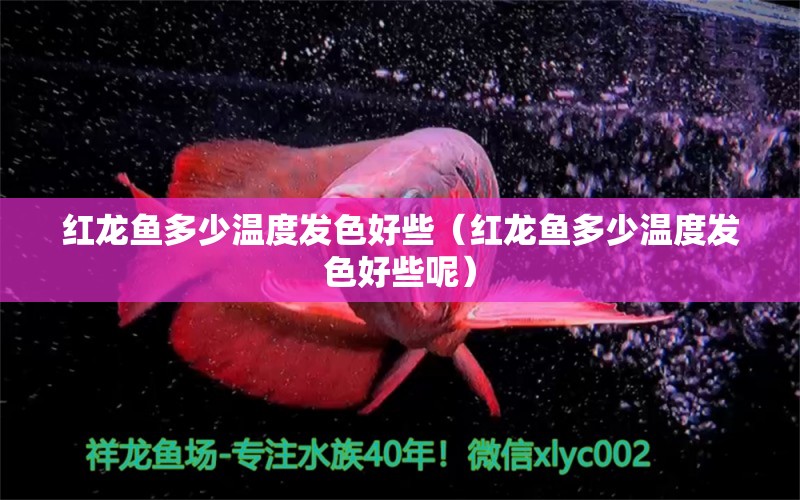 紅龍魚多少溫度發(fā)色好些（紅龍魚多少溫度發(fā)色好些呢）