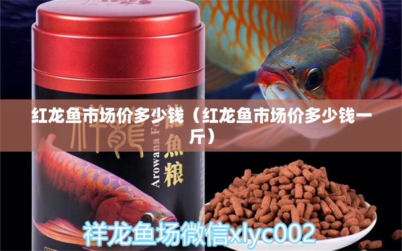 紅龍魚市場價多少錢（紅龍魚市場價多少錢一斤）