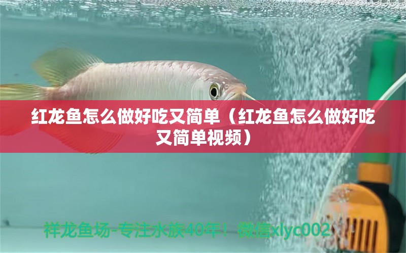 紅龍魚怎么做好吃又簡(jiǎn)單（紅龍魚怎么做好吃又簡(jiǎn)單視頻）