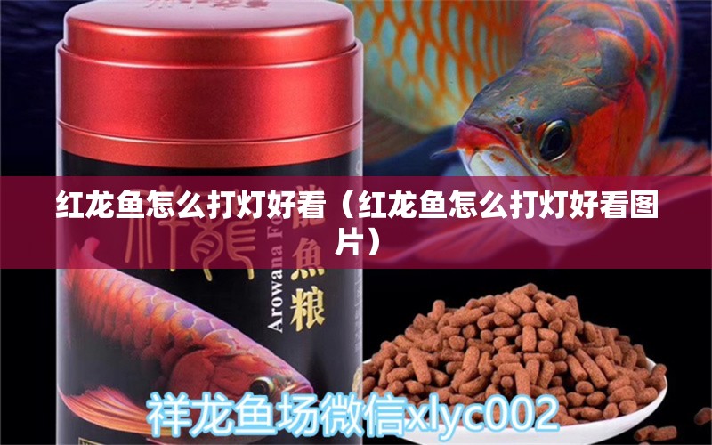 紅龍魚怎么打燈好看（紅龍魚怎么打燈好看圖片） 印尼紅龍魚