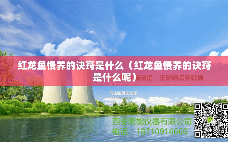 紅龍魚慢養(yǎng)的訣竅是什么（紅龍魚慢養(yǎng)的訣竅是什么呢）