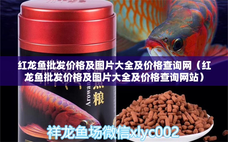 紅龍魚批發(fā)價格及圖片大全及價格查詢網(wǎng)（紅龍魚批發(fā)價格及圖片大全及價格查詢網(wǎng)站）