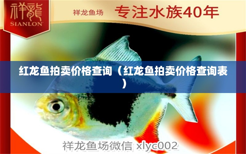 紅龍魚(yú)拍賣價(jià)格查詢（紅龍魚(yú)拍賣價(jià)格查詢表）